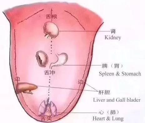 微信图片_20210626150219.jpg